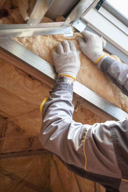 Best Specialized Insulation Services in Lake Zurich, IL