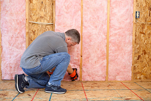 Best Energy Efficiency Insulation in Lake Zurich, IL