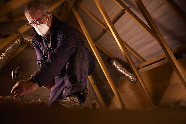 Trusted Lake Zurich, IL Insulation Contractor Experts
