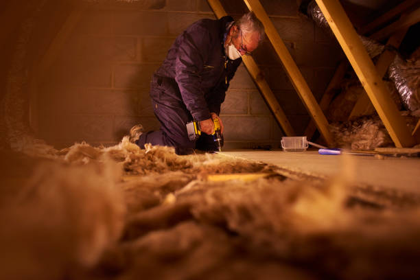 Types of Insulation We Offer in Lake Zurich, IL